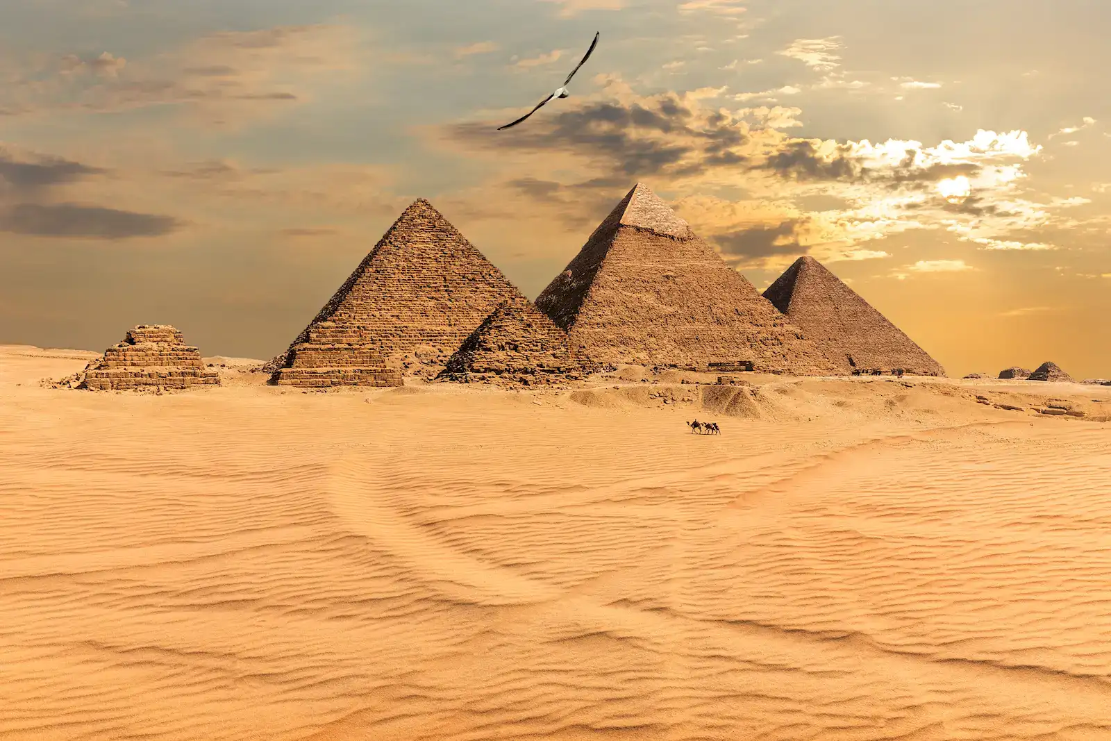 The Giza pyramids in golden desert light at sunset